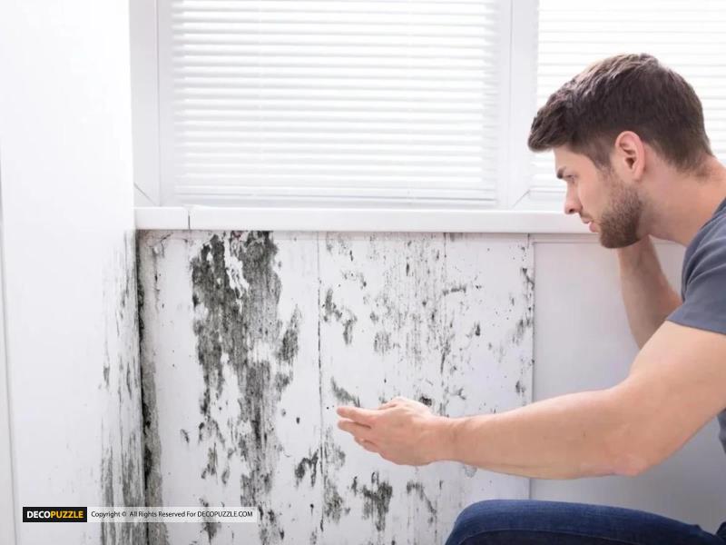 علت اصلی کپک زدن کابینت ها-راهکارهای جلوگیری از رطوبت کابینت